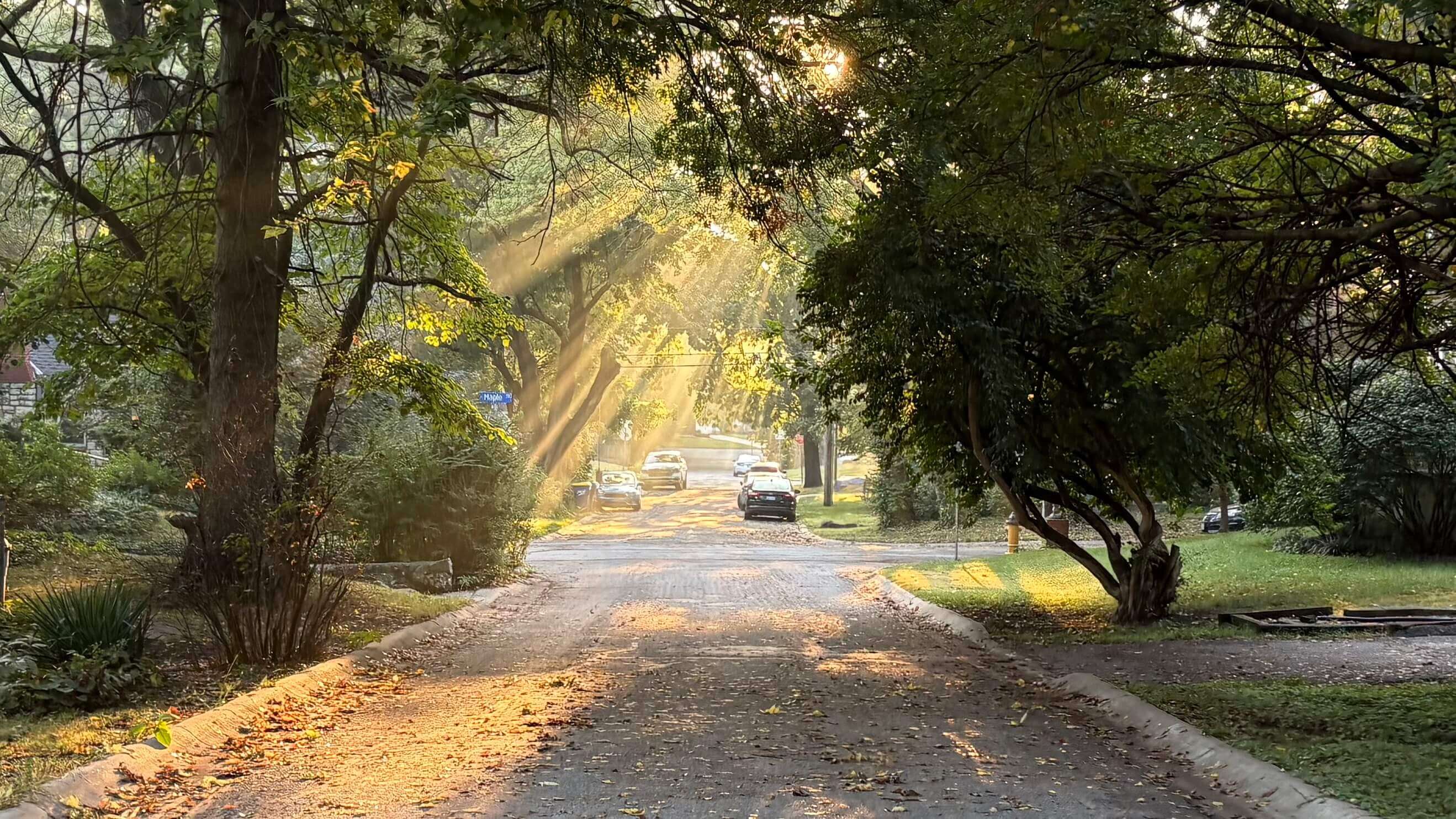 Sunlight streaming through trees onto a quiet neighborhood street on a misty morning